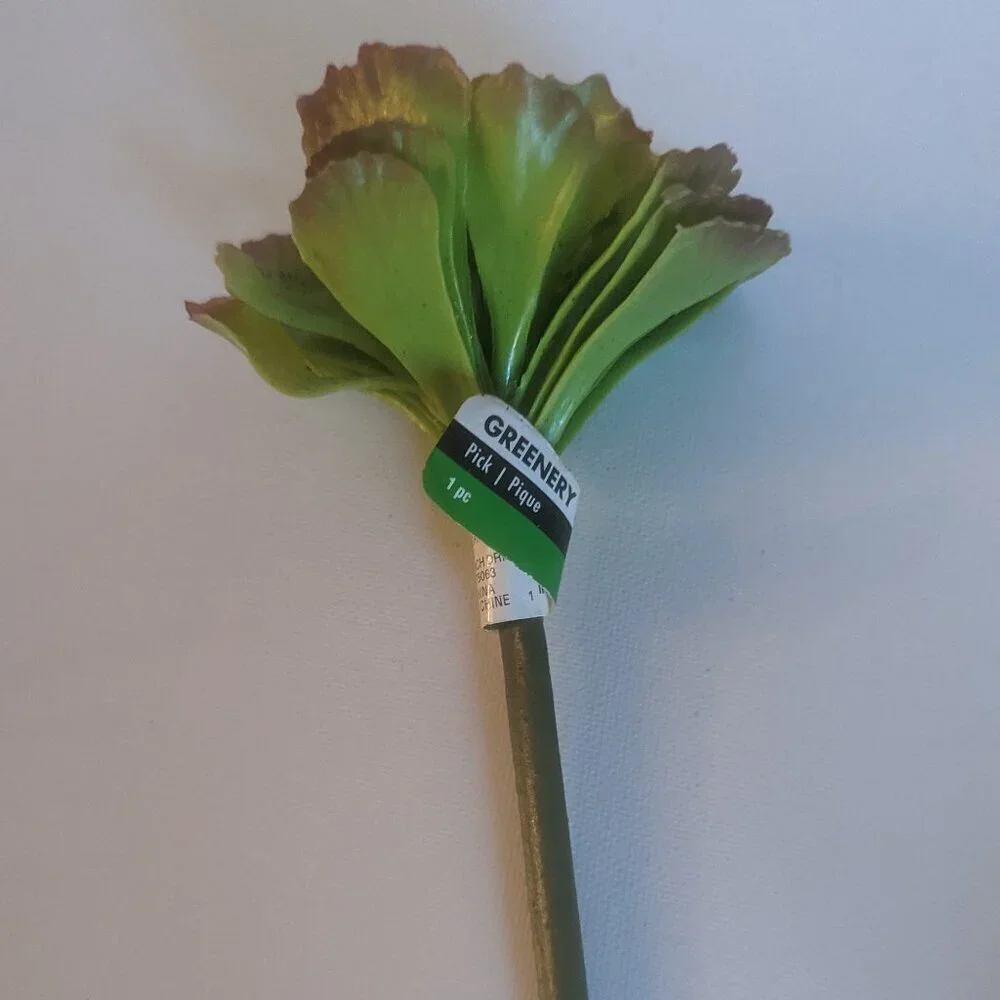 NWT Ashland 2 Spiky Tropical Cabbage Succulent Stems Faux Floral Decor Michael's